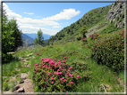 foto Malga Val Cion